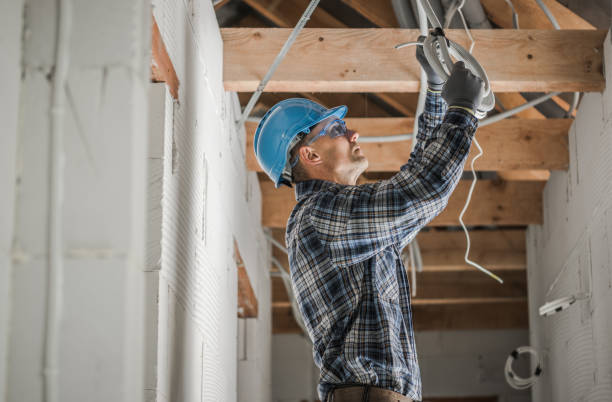 Best Home Electrical Repair  in Cherokee, IA